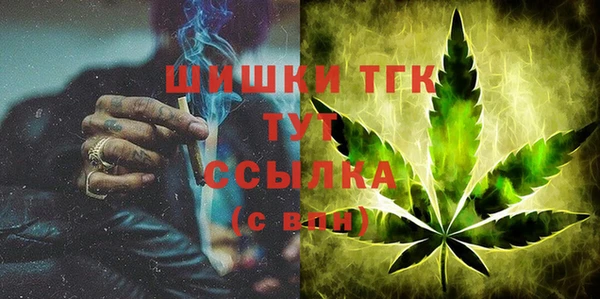 тгк Михайлов