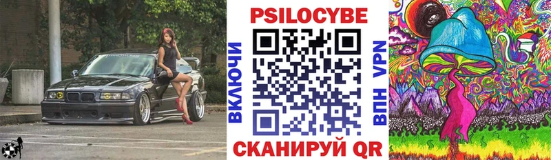 Псилоцибиновые грибы Psilocybine cubensis  Приволжск 