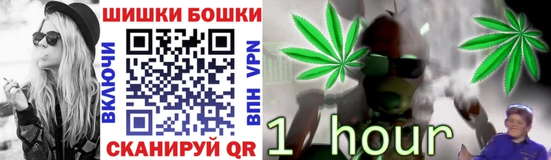 Бошки Шишки планчик  купить наркотик  Приволжск 
